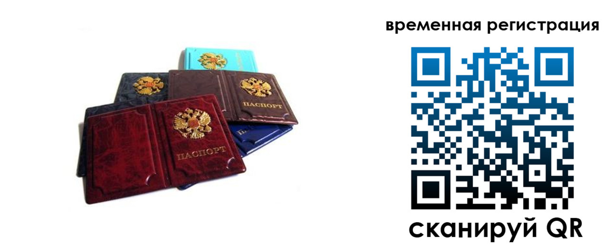 прописка для работы в Ртищево